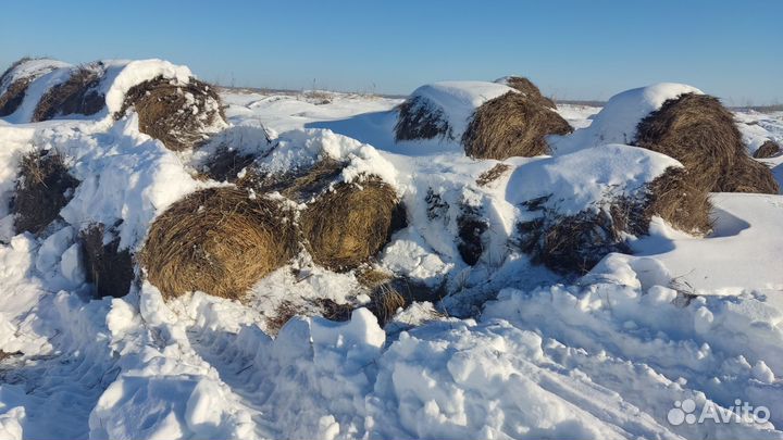 Сено и салома