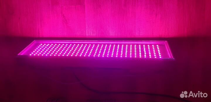 Фитолампа LDP-240Y3X уски