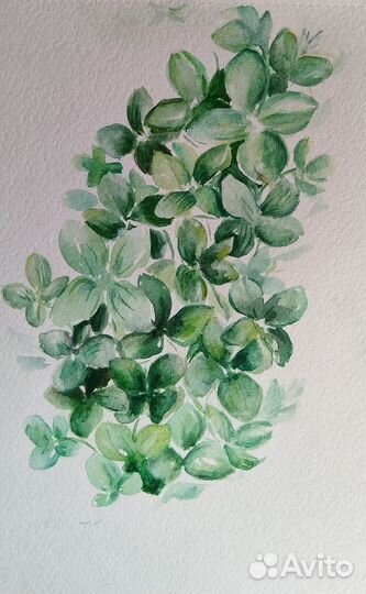 Рисунок акварель, оригинал