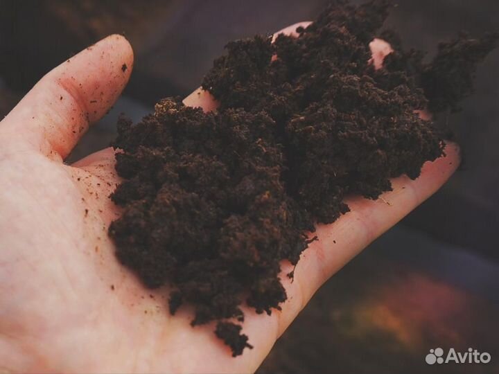 Торфогрунт