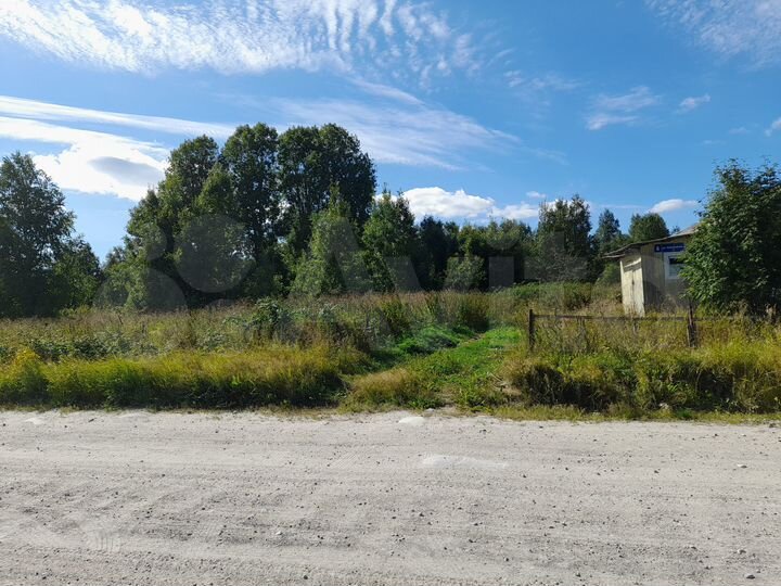 Участок 25 сот. (ИЖС)