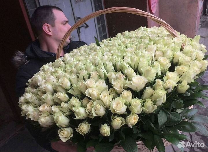 Высокие розы Гигантские розы Доставка цветов