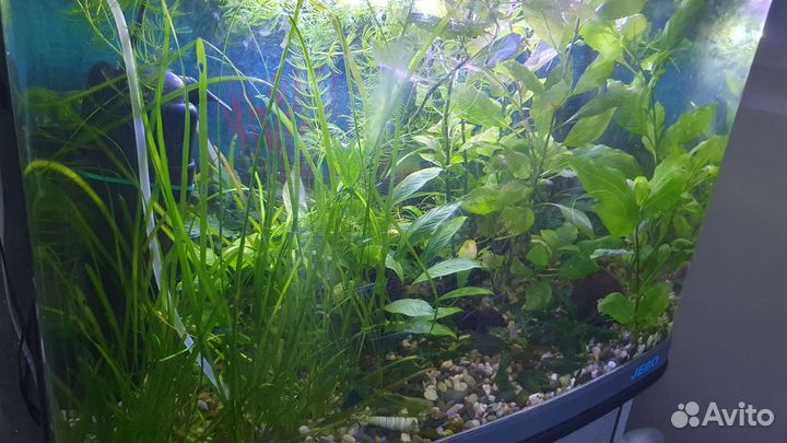 Аквариум с тумбой 120л