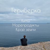 Териберка. Экскурсия и выход в море