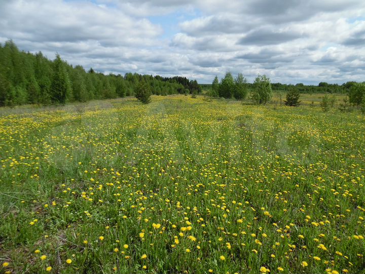 Участок 22,4 га (СНТ, ДНП)