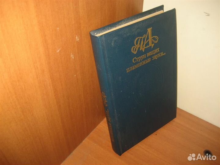 Русская поэзия