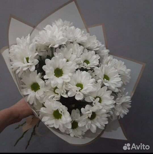 Хризантема на букет