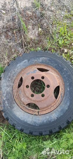 Колеса газон