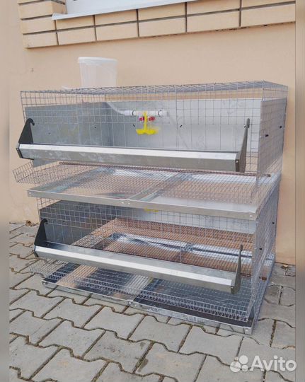 Клетка для 20 кур несушек