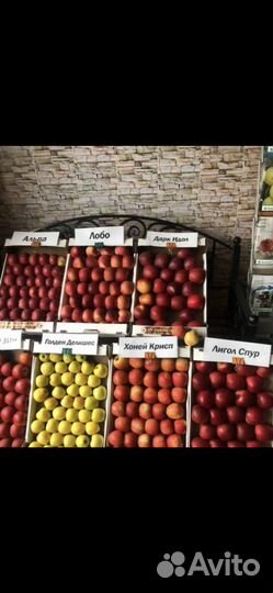 Оптовая продажа яблок