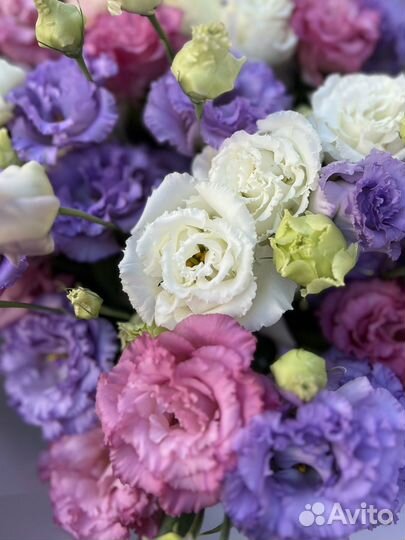 Эустома букет доставка Сочи