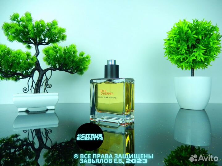 Hermes - Terre d' Hermes Отливант