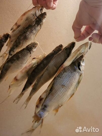 Азовская тарань