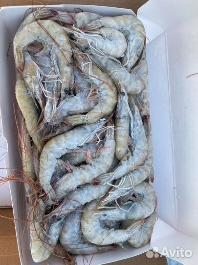 Креветка крупная, свежая
