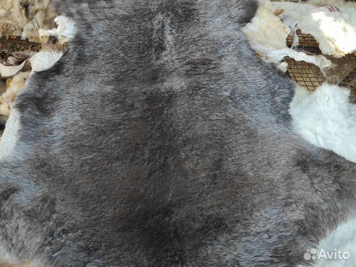 Шкура овечья натуральные мех