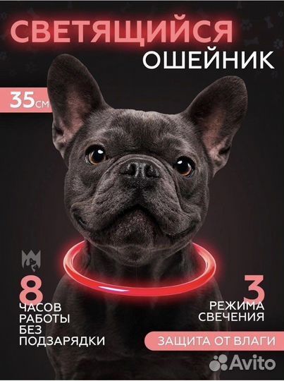 Ошейник для собаки светящийся