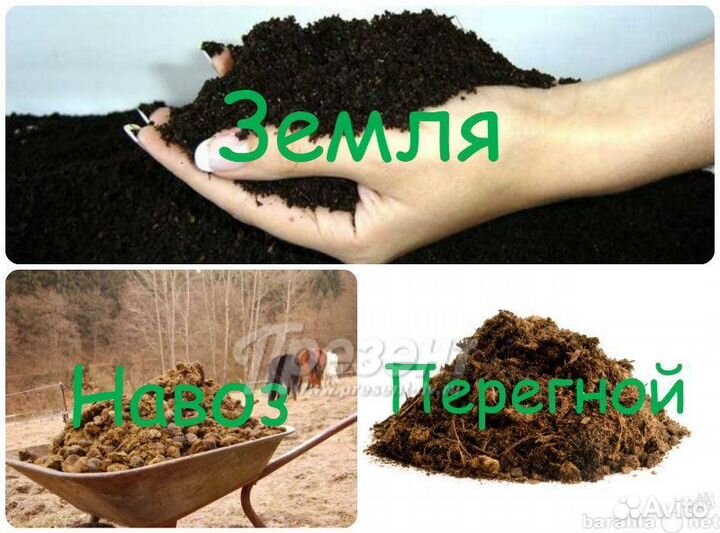 Отличное качество перегной без опилок без соломы