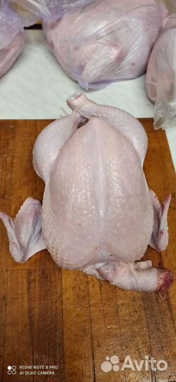 Мясо бройлера