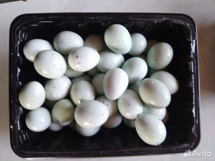 Яйцо перепелиное 20 шт, грибы маринованные