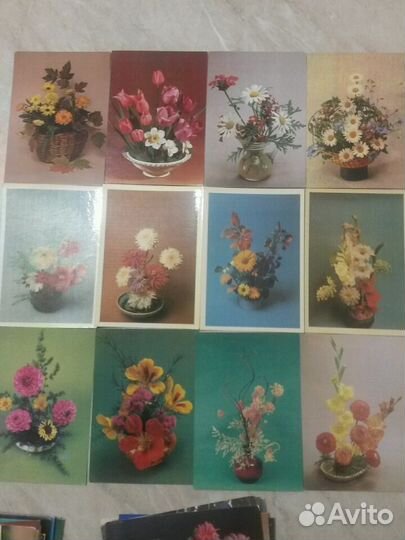 Цветы 1966-70гг