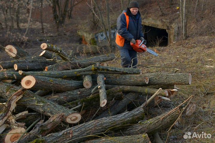 Спиливание деревьев