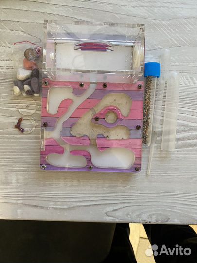 Муравьиная ферма