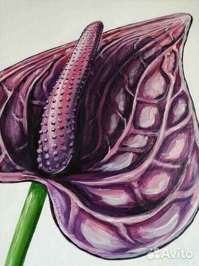 Картина цветок / современные картины / эротика