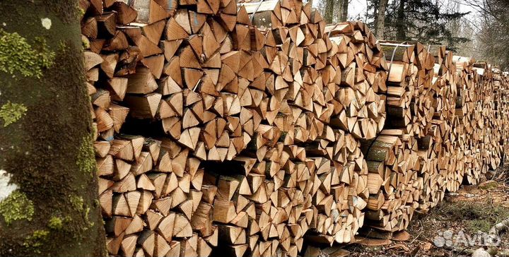 Дрова отборные