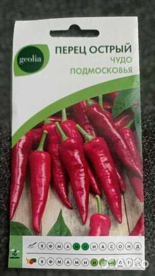 Рассада острого перца