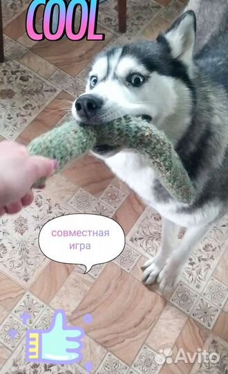 Шуршащие игрушки для собак