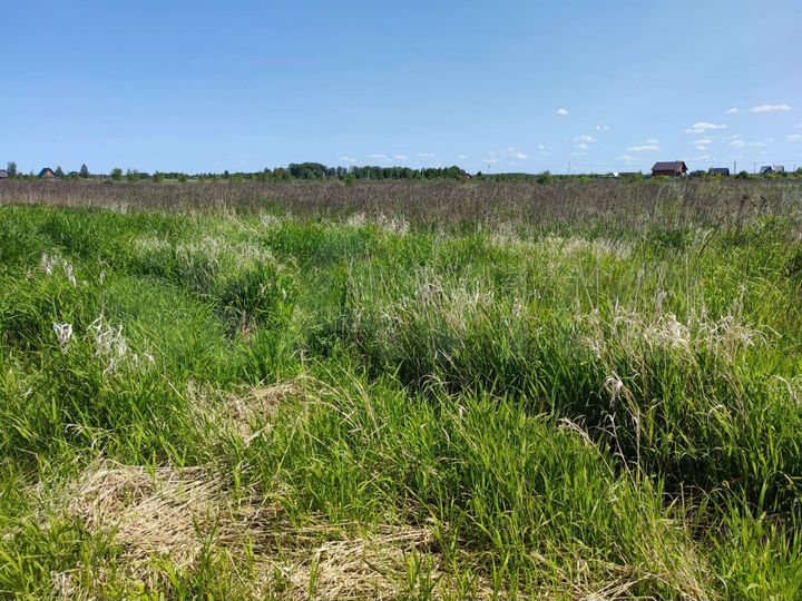 Участок 12 сот. (СНТ, ДНП)