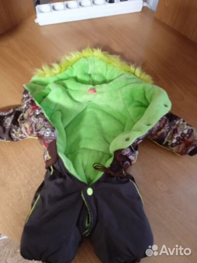 Одежда для маленьких собак, туалет для собак