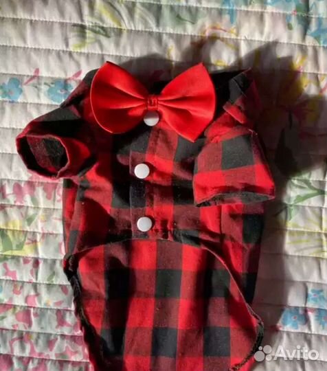 Рубашка для собак и кошек