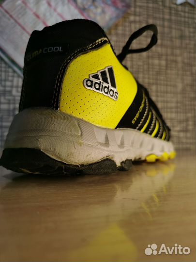 Кроссовки Adidas climacool