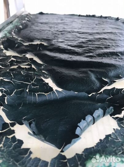 Живая сушеная спирулина