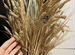 Колосья пшеницы, сухоцвет декор флористам