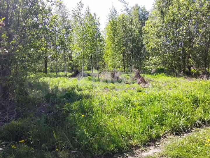 Участок 5,4 сот. (СНТ, ДНП)