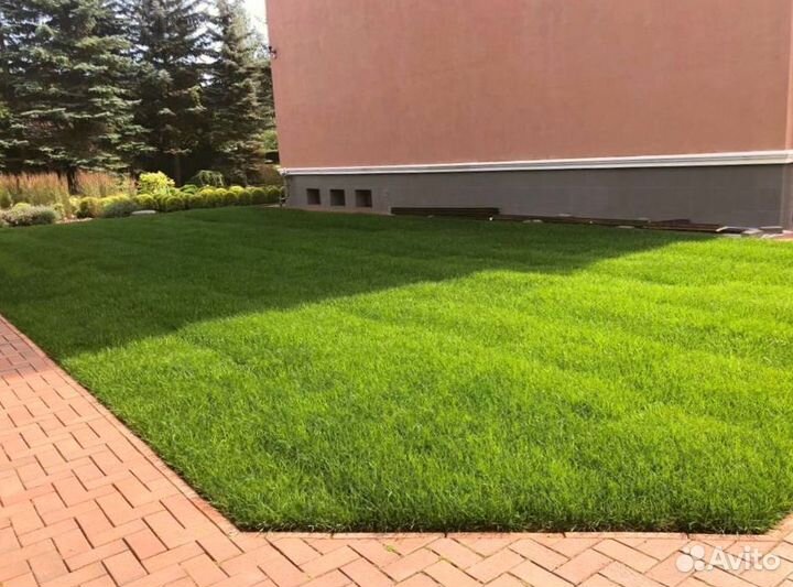 Рулонный газон