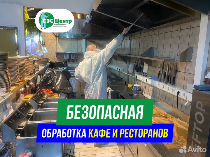 Уничтожение клопов, тараканов. Обработка участков