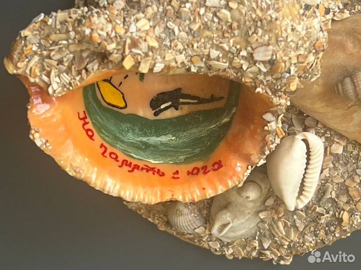 Ракушка рапан сувенир