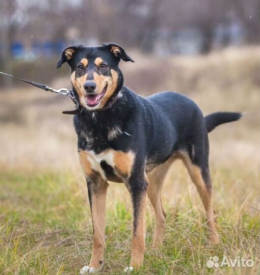 Гретта пережила предательство