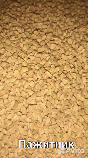 Зерно,семена,пряности - корм для птиц, попугаев