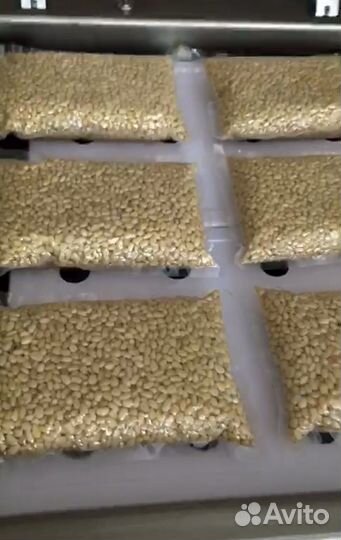 Кедровый орех. Ядро. 2023. Переработан март 2024