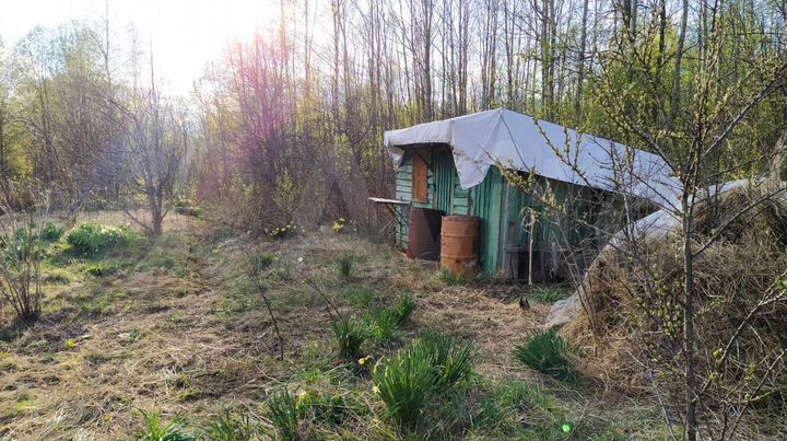 Участок 7,9 сот. (СНТ, ДНП)