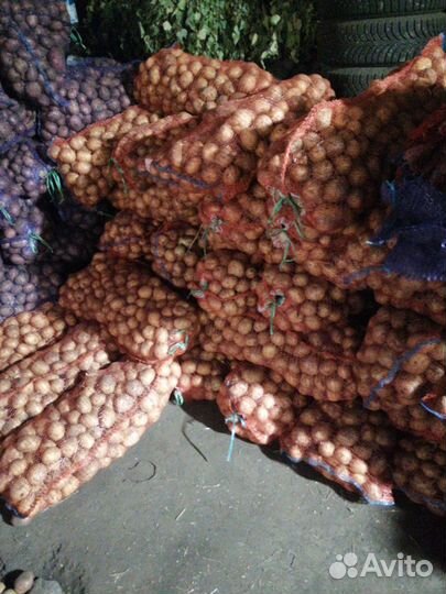 Продам картофель едовой
