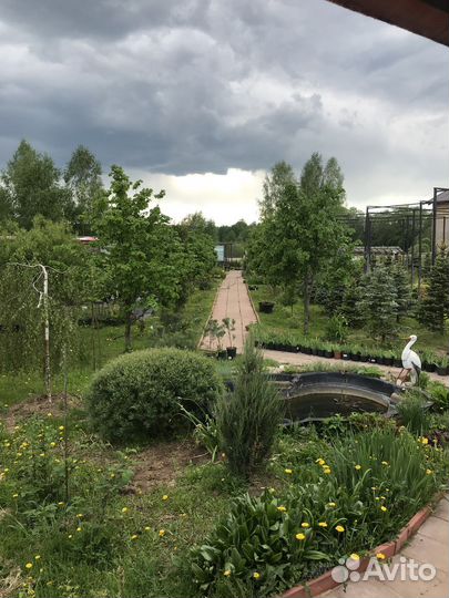 Продаю Питомник растений и Садовый Центр «сорбус»