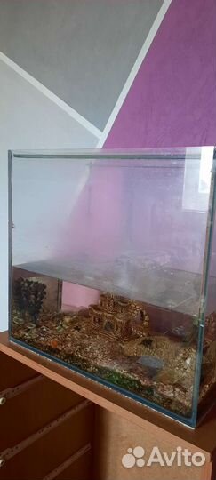 Аквариум 50л