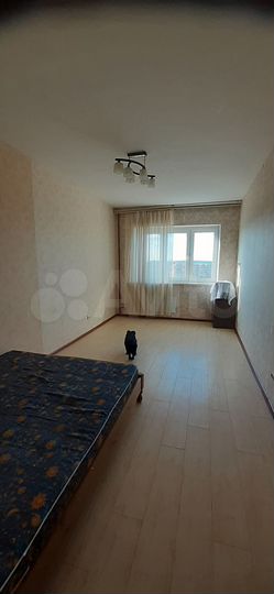1-к. квартира, 43 м², 13/17 эт.
