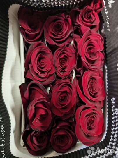 Цветы оптом Волгоград