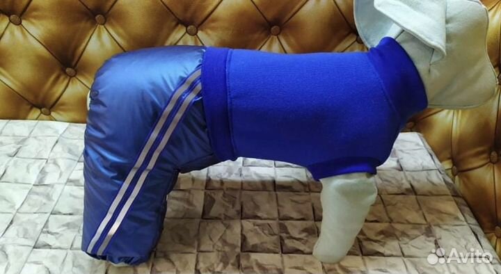 Одежда для маленькой собачки